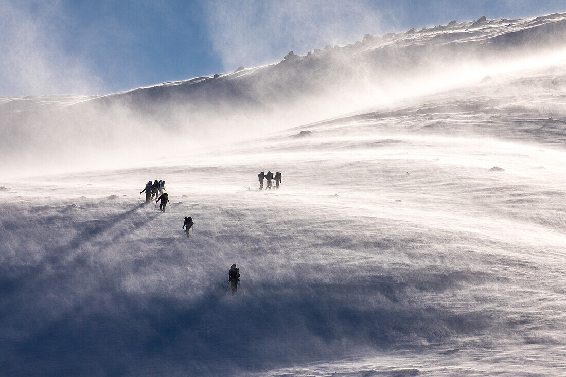 Mountain walkers, Cairngorm mountains, winter, snow, blizzard, Aberdeenshire, Scotland, UK