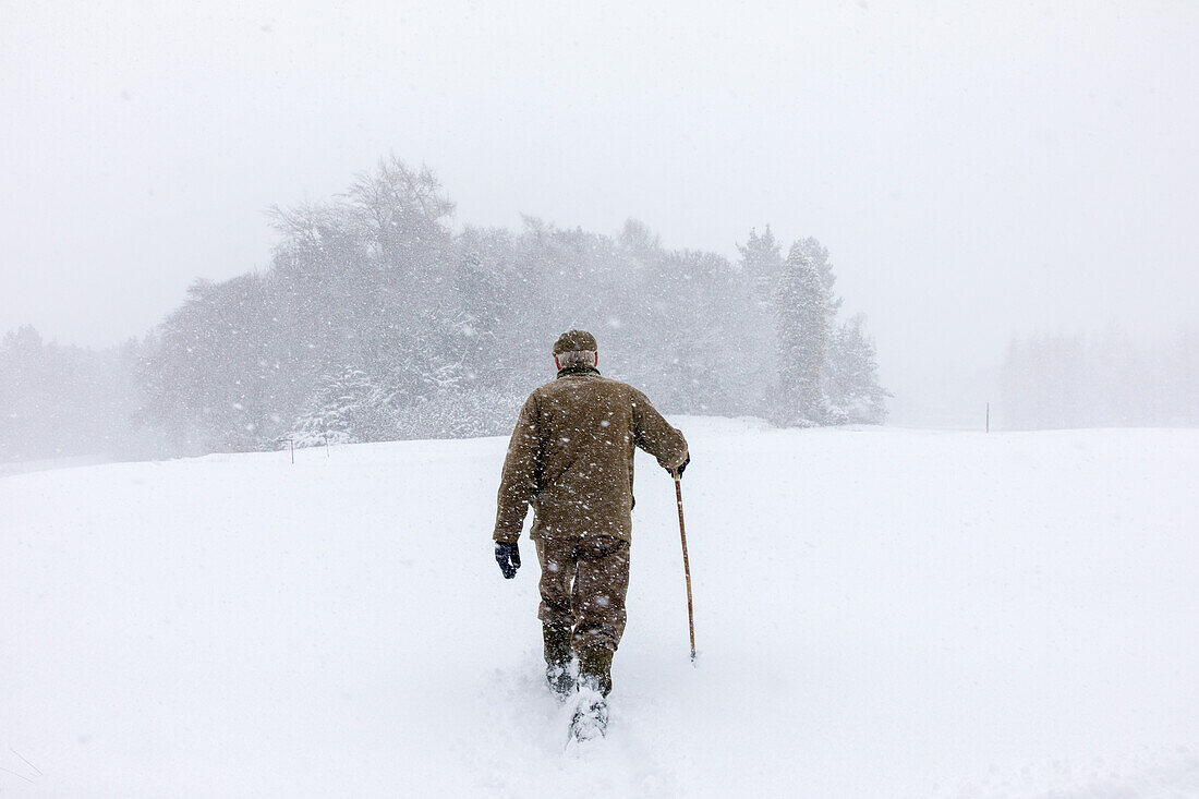 Walkers in front of Balmoral Castle in the snow, Royal Deeside, Aberdeenshire, Scotland, UK