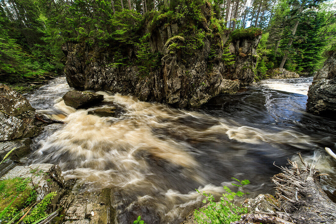Wildwasser, Fluss im Strathmashie Forest bei Laggan, Schlucht, Cairngorms, Schottland, UK