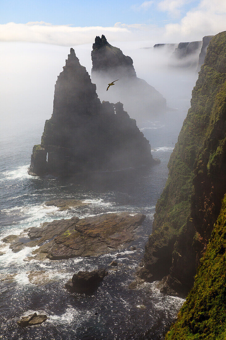 Duncansby Head, Sea Stacks in Sea Mist, Caithness, Highlands, Scotland UK