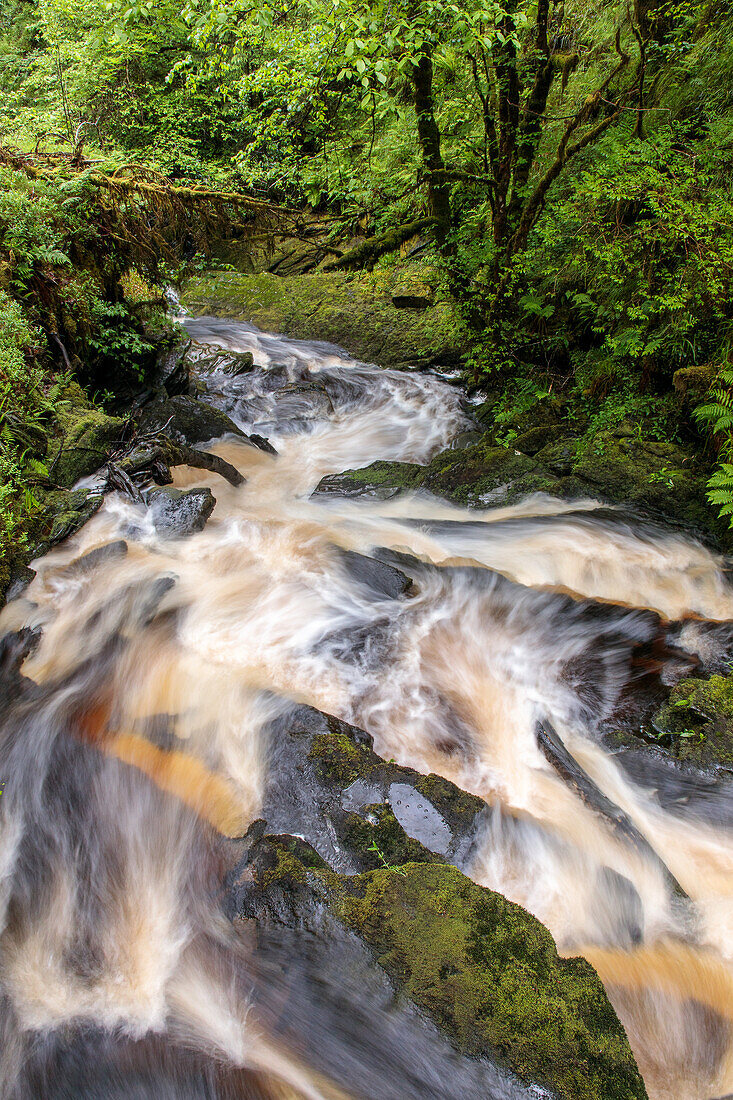 Wasserfall bei Glenbranter, Argyll, Schottland UK