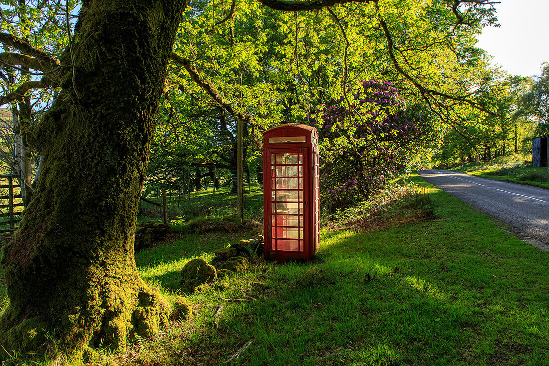Einsame rote Telefonzelle auf der Landstraße, Westküste, Schottland UK