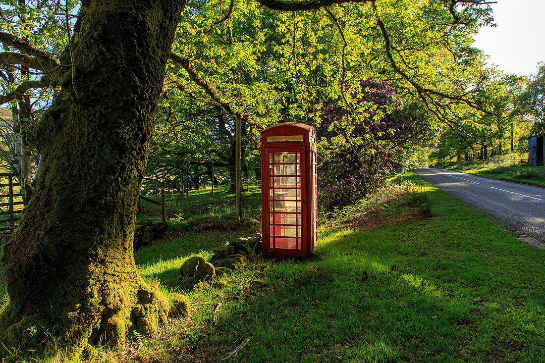 Lonely red telephone box on country road, west coast, Scotland UK