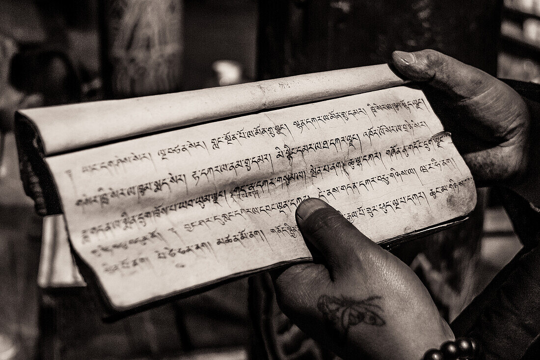 Ein Mönch in Tibet hält einen handgeschriebenen Text zur Rezitation in einem Kloster, Asien