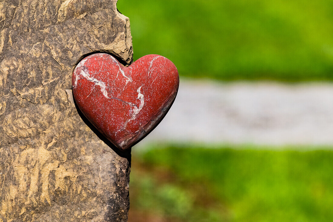 Ein rotes Herz ist in starkes Symbol für Liebe und Zuneigung