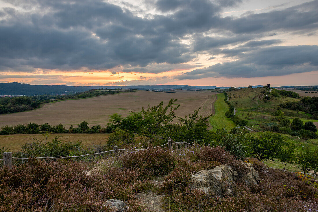 Teufelsmauer zum Sonnenuntergang, Weddersleben, Harz, Sachsen-Anhalt, Deutschland