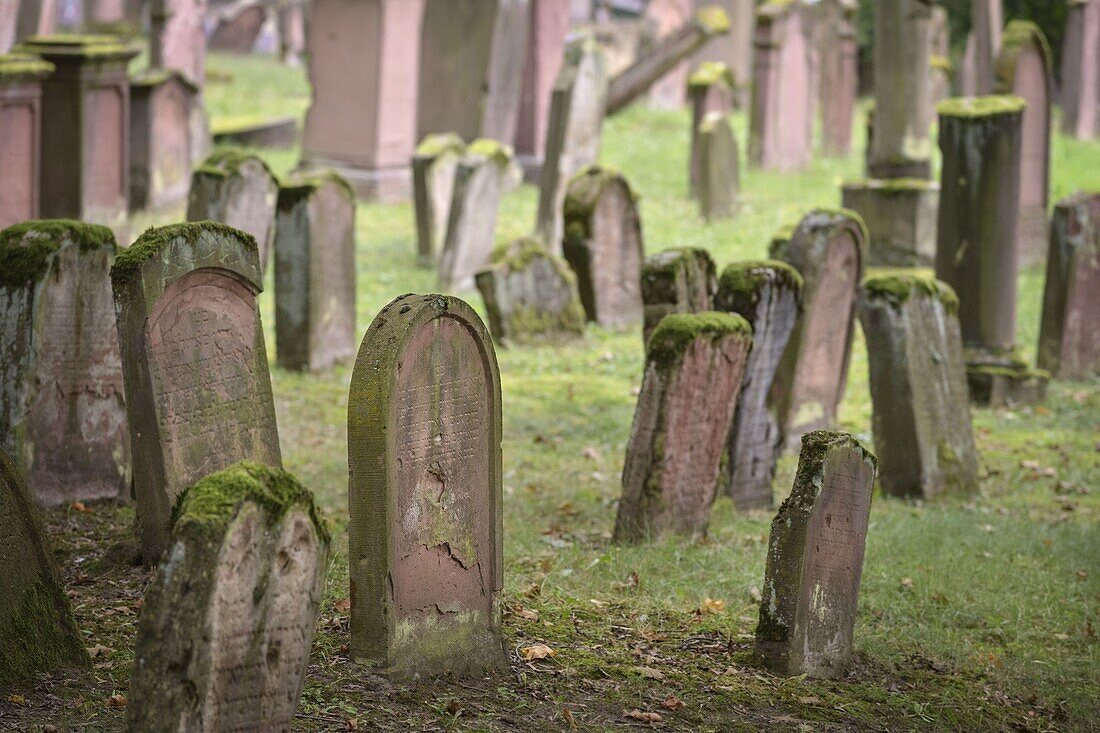 Old Jewish cemetery Judensand in Mainz, UNESCO World Heritage ShUM cities, Rhineland-Palatinate, Germany, Europe