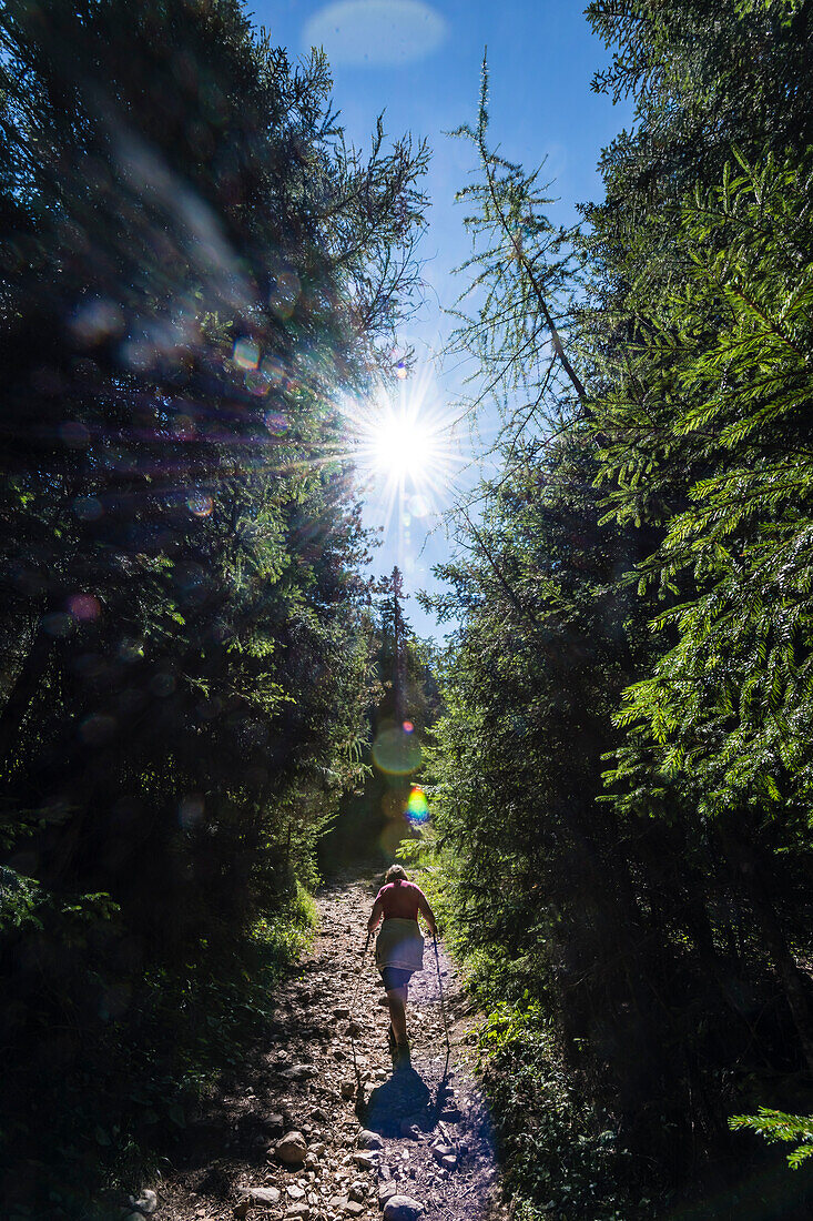 Wanderin, Aldein, Radein, South Tyrol, Alto Adige, Italy