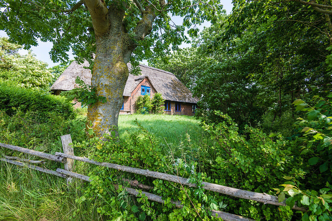 Bauernhaus, Westerhever, Schleswig-Holstein, Deutschland