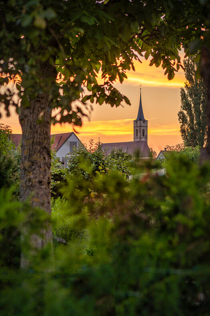 Die Kirche St. Veit in Iphofen am späten Abend, Kitzingen, Unterfranken, Franken, Bayern, Deutschland, Europa