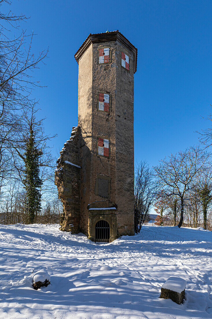 Winter in den Weinbergen von Castell, Unterfranken, Franken, Bayern, Deutschland, Europa