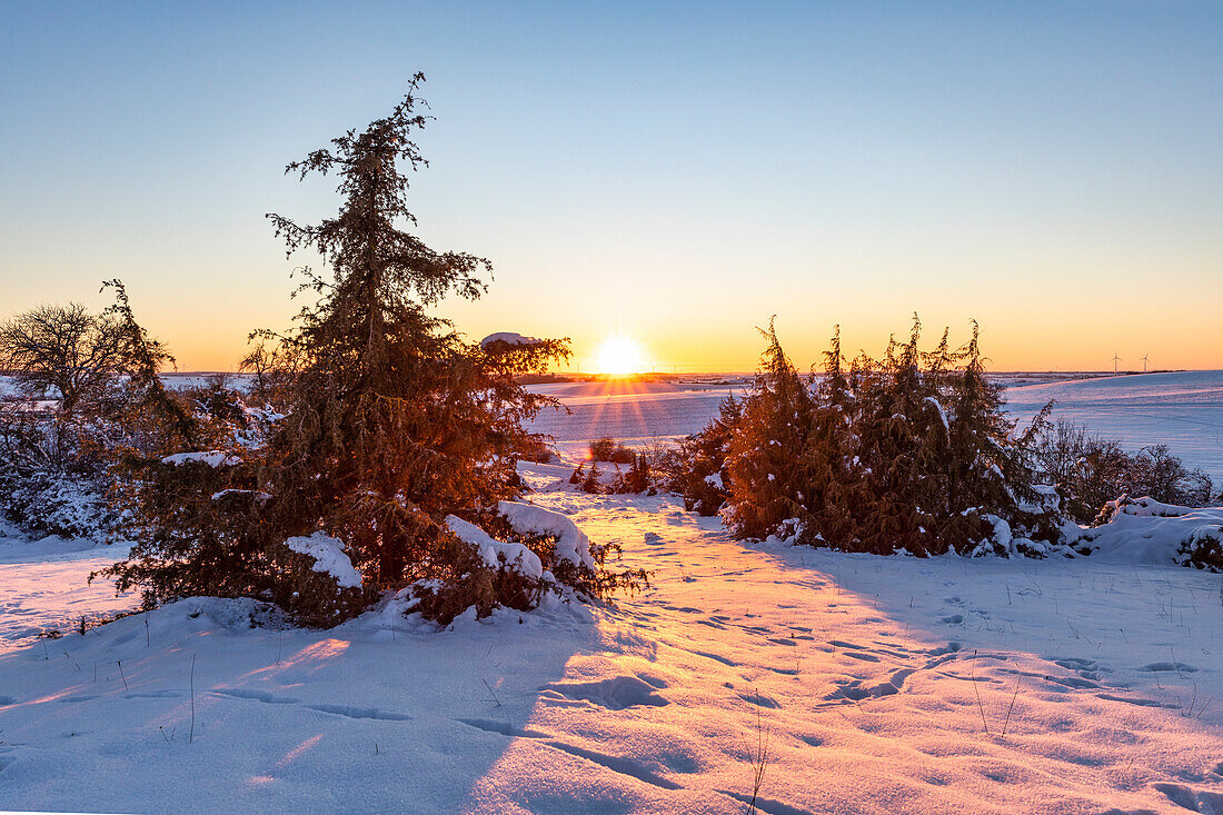 Winter in the Hutewald near Weigenheim, Neustadt an der Aisch, Middle Franconia, Franconia, Bavaria, Germany, Europe