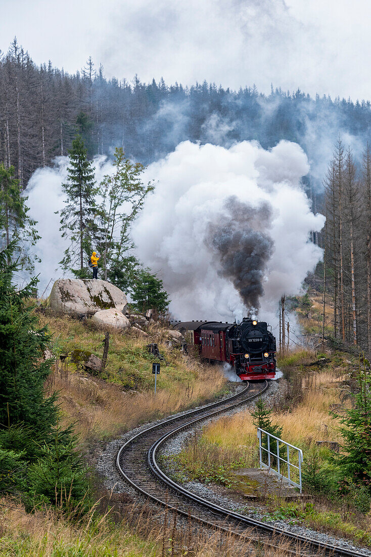 Brockenbahn, Harzer Schmalspurbahnen, Schierke, Harz, Sachsen-Anhalt, Deutschland