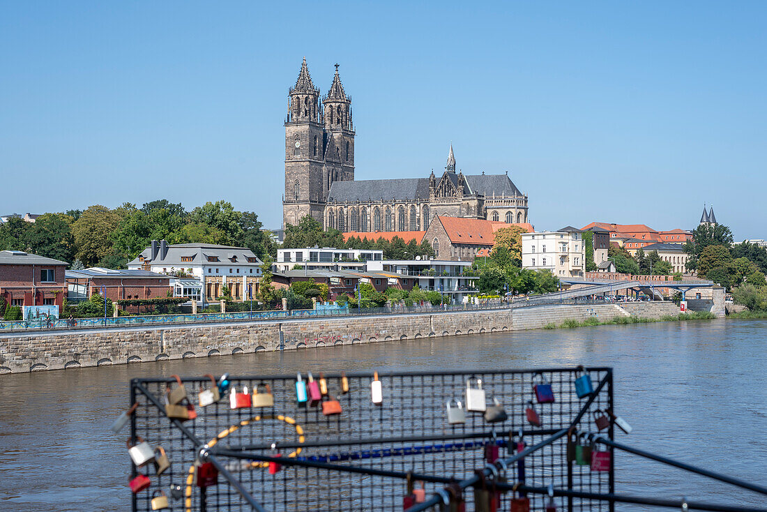 Magdeburg Cathedral, in front of it love locks, Magdeburg, Saxony-Anhalt, Germany