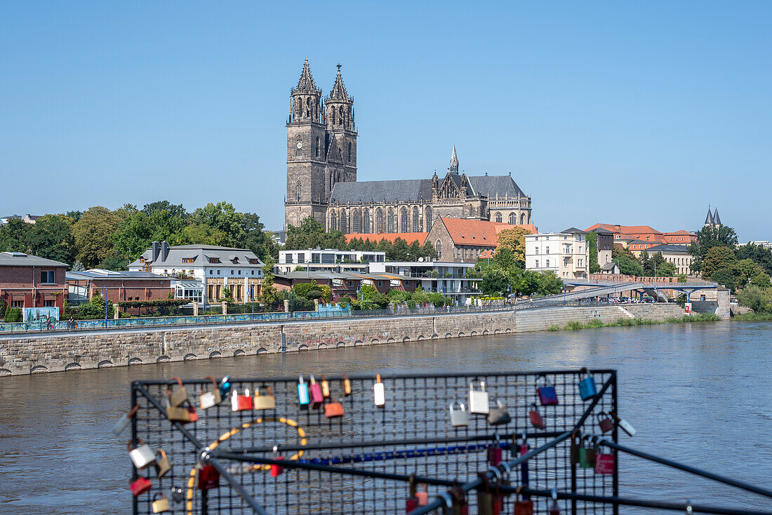 Magdeburger Dom, davor Liebesschlösser, Magdeburg, Sachsen-Anhalt, Deutschland