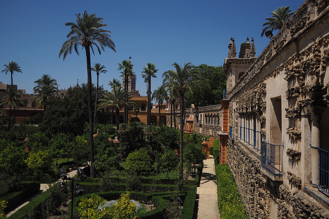 The Alcazar Royal Palace in Seville, Andalusia, Spain