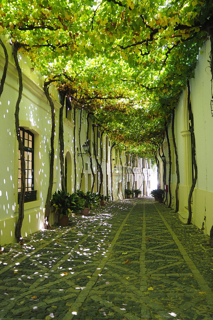 Courtyard of a sherry bodega in Jerez de la Frontera, Andalusia, Spain