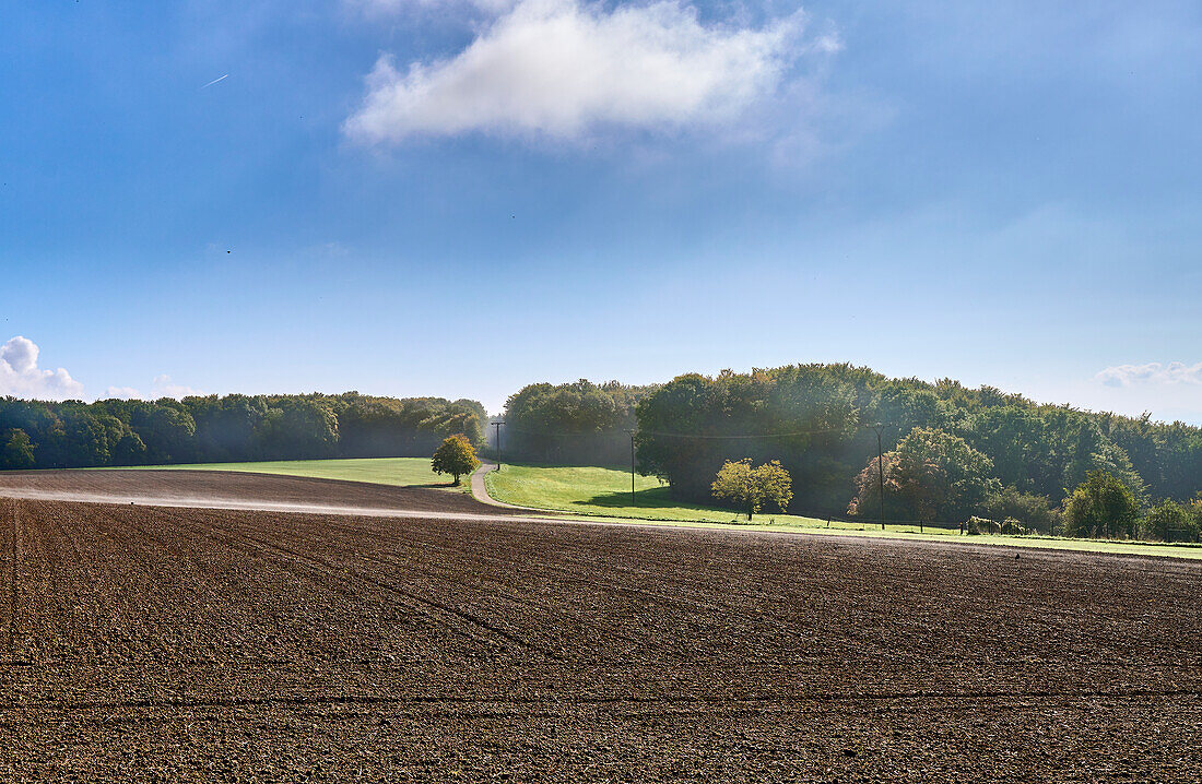 View over a harvested field in autumn, Orsberg, Rhineland-Palatinate, Germany
