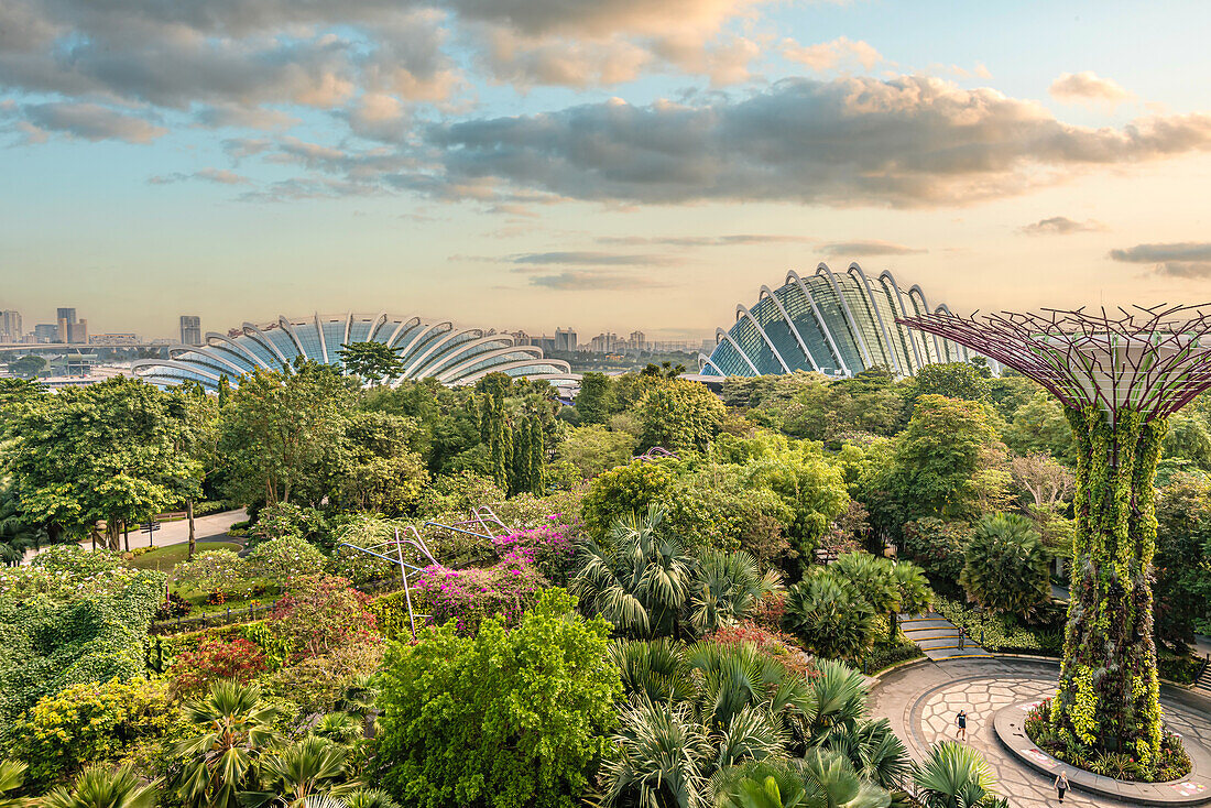 View from the Supertrees over the Gardens by the Bay with the Cloud Forest and Flower Dome buildings in the background; Singapore