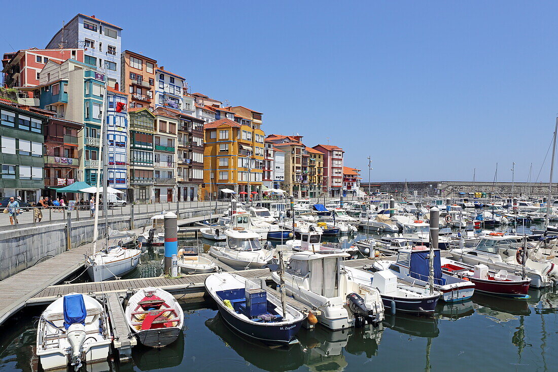 Der alte Hafen von Bermeo, Urdaibai Biosphere Reserve, Baskenland, Spanien