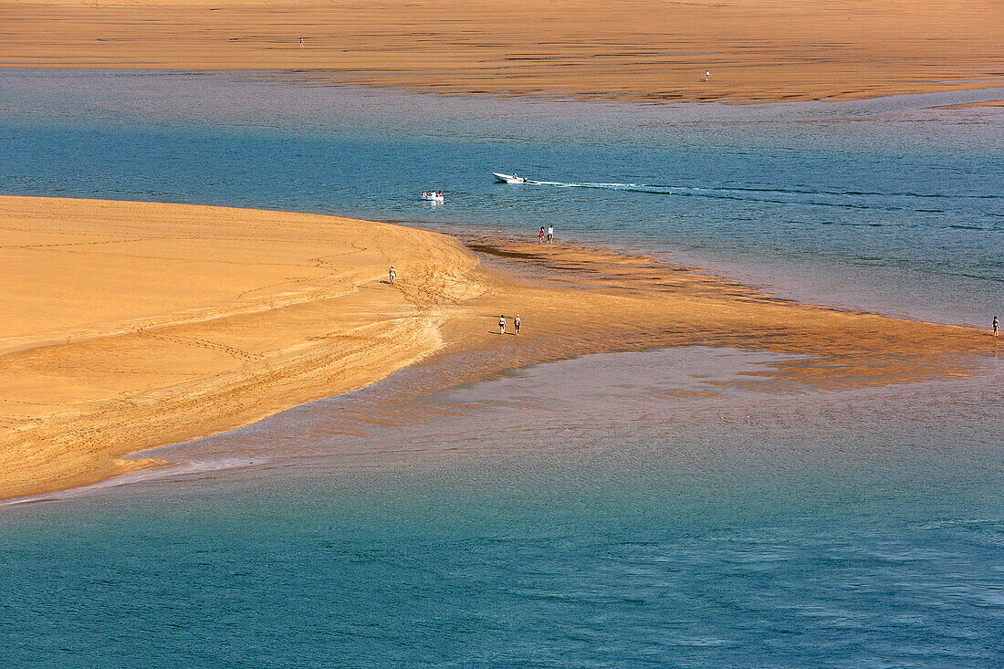 Sandbanks on the Ria de Urdaibai, also called Ria Guernika or Ria Mundaka, Mundaka, Urdaibai Biosphere Reserve, Basque Country, Spain