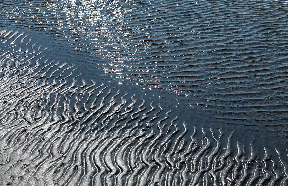 Sunlight falls on the mudflats and sea, Grimsholmen, Halland, Sweden