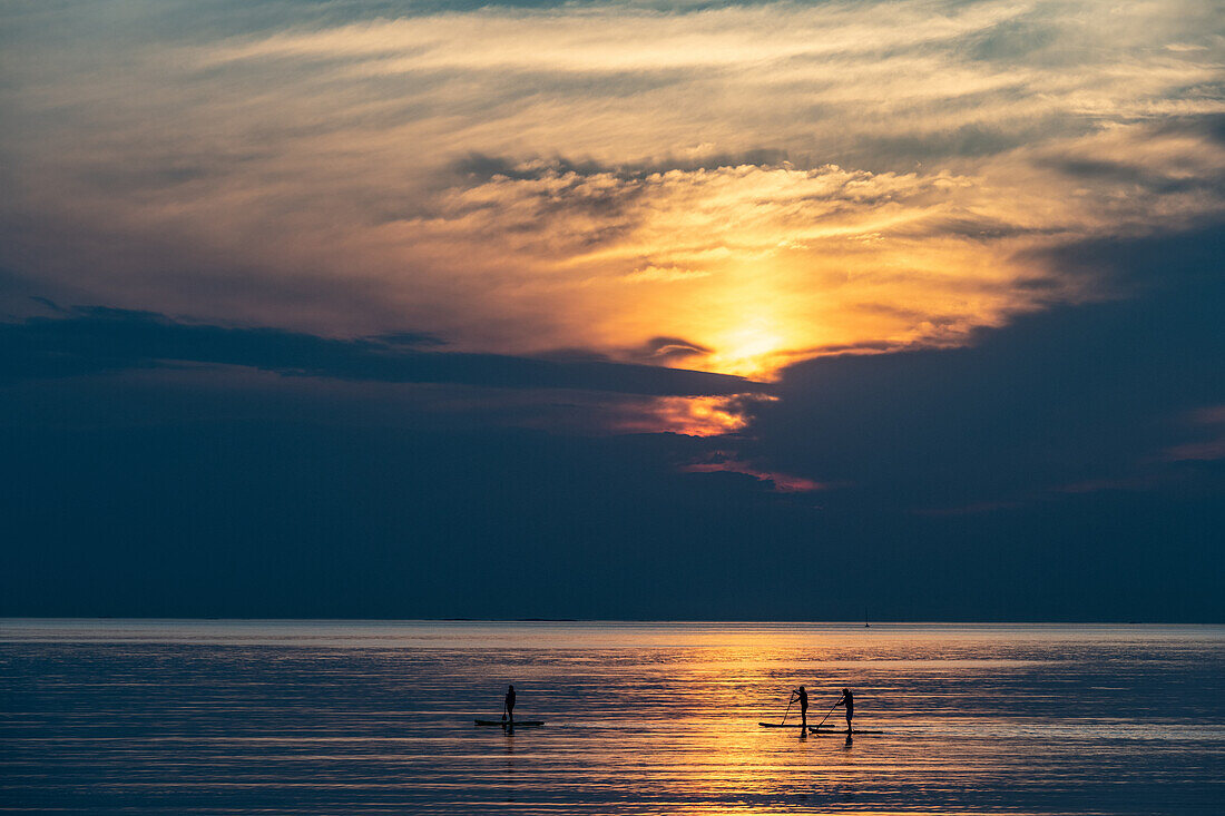 Drei Stand-up-Paddler bei Sonnenuntergang auf dem Meer, Kungsbacka, Halland, Schweden