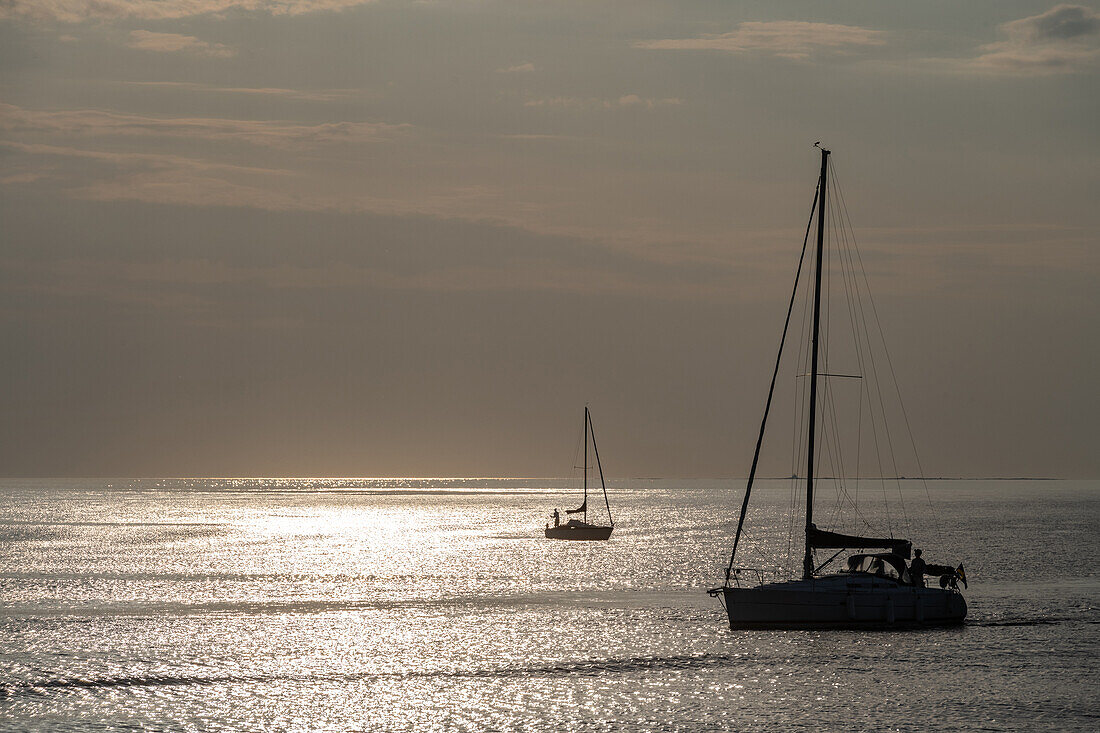 Sailboats at dusk by the sea, Kungsbacka, Halland, Sweden