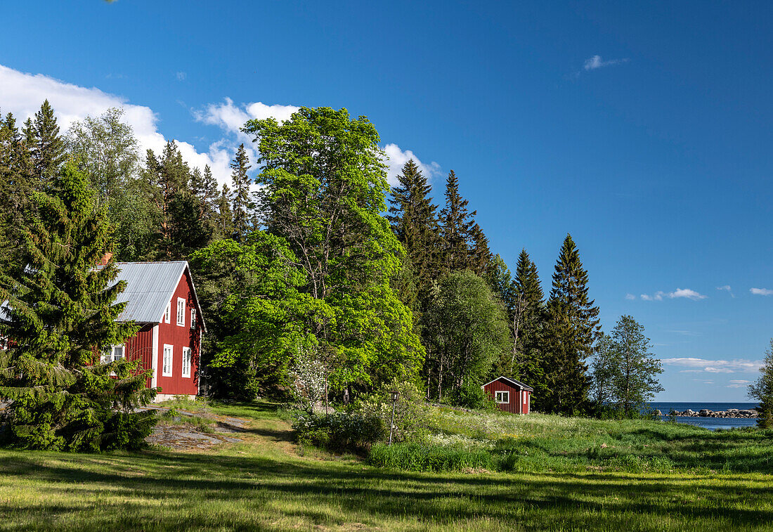 Ein typisches, rotes Holzhaus im Wald mit Blick auf das Meer, Avikebruk, Västernorrland, Schweden