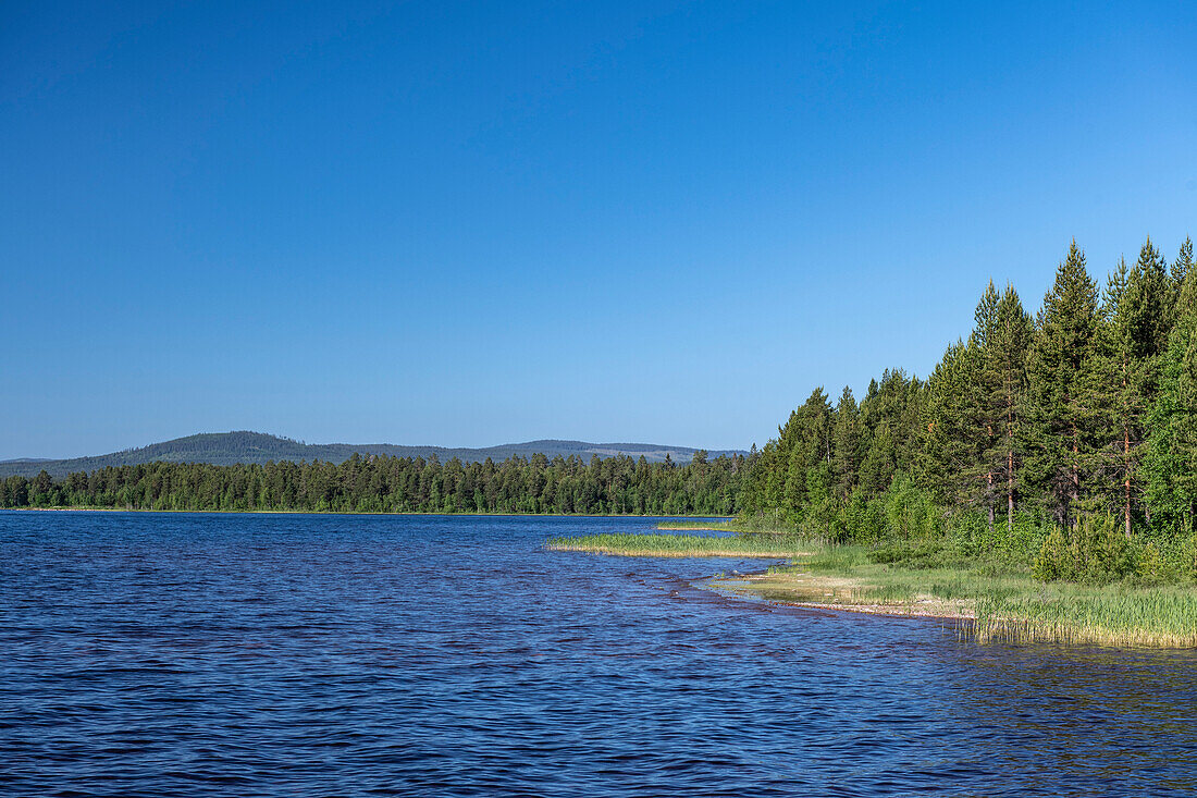 Perfekt blauer Himmel über der weiten Landschaft am Siljansee, Dalarna, Schweden