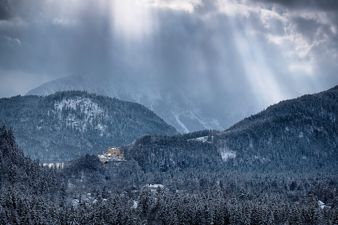 View of Hohenschwangau Castle, Allgäu Alps, Allgäu, Bavaria, Germany, Europe