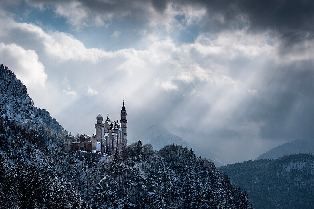 View of Neuschwanstein Castle in winter, Allgäu Alps, Allgäu, Bavaria, Germany, Europe