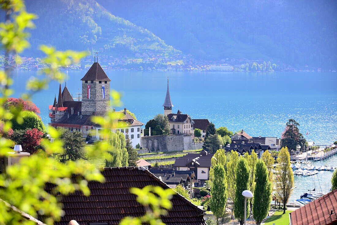Spiez on Lake Thun, Bernese Oberland, Switzerland