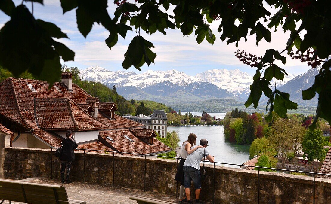 Thun, Berner Oberland, Schweiz