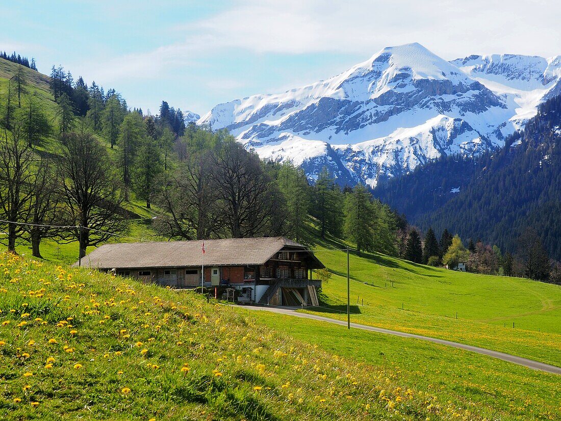 Über dem Suldtal am Thuner See, Berner Oberland, Schweiz