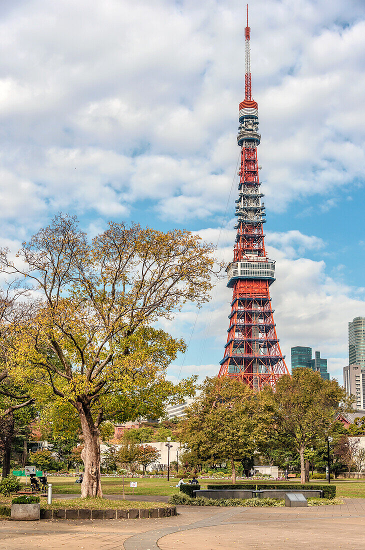 Tokyo Tower vom Shibakoen Park gesehen, Tokio, Japan 