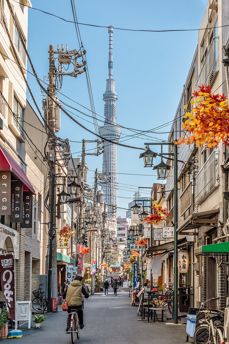 Street scene of a normal residential area in Asakusa with the Skytree Tower in the background, Tokyo, Japan