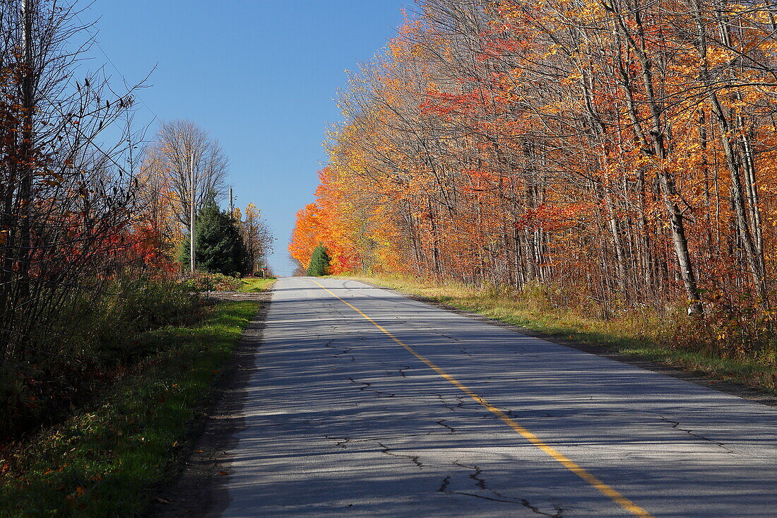 Country road in autumn, Canada
