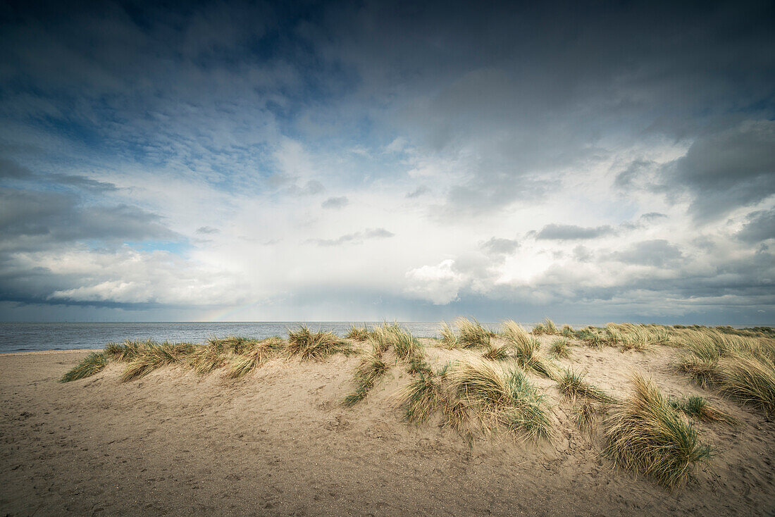 Sand dunes on the North Sea under storm clouds, Schillig, Wangerland, Friesland, Lower Saxony, Germany, Europe