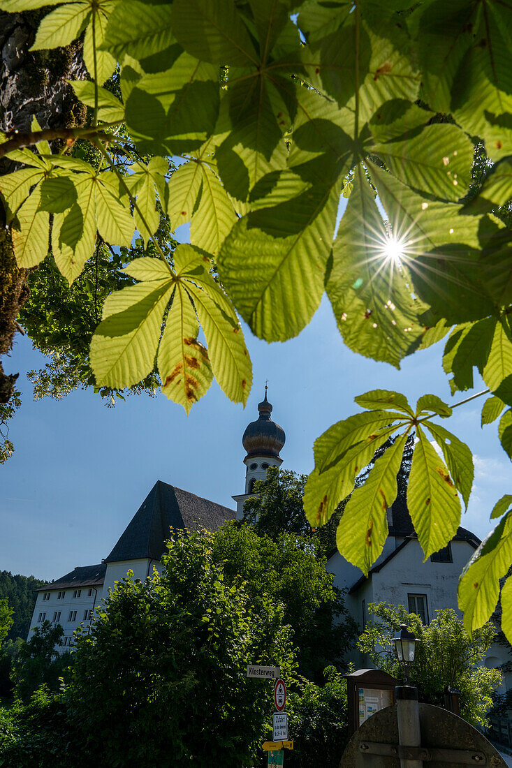 Blick auf das Kloster durch einen Kastanienbaum, Höglwörth, Chiemgau, Bayern, Deutschland