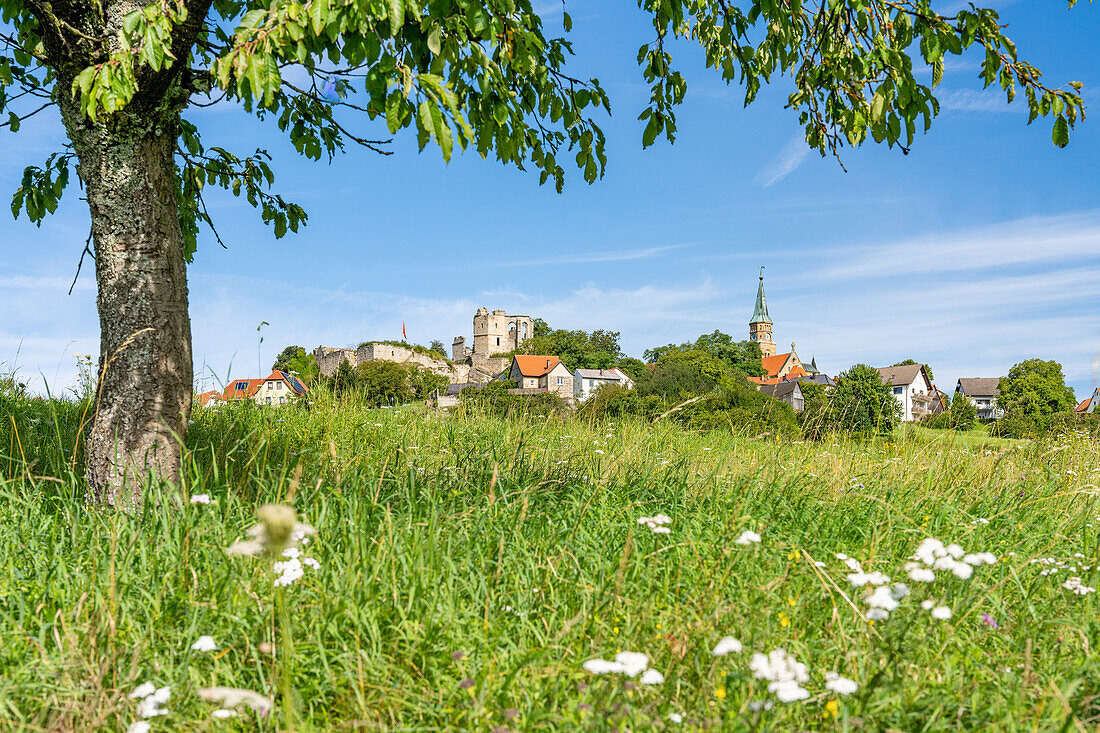Blick auf die Ortschaft Altenstein mit Burg und Kirche, Gemeinde Markt Maroldsweisach, Landkreis Haßberge, Unterfranken, Bayern