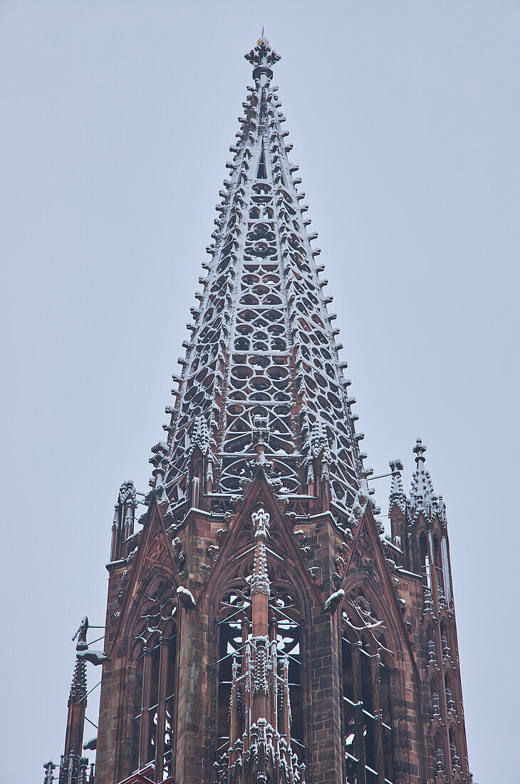 View to the tower of the minster 'Unserer lieben Frau' in snow, Freiburg, Breisgau, Southern Black Forest, Black Forest, Baden-Wuerttemberg, Germany, Europe