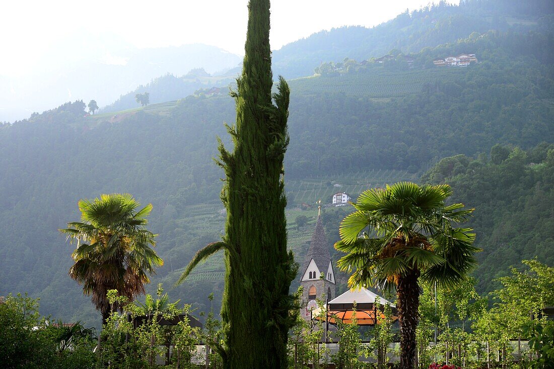 In der Nähe von Algund bei Meran, Südtirol, Italien