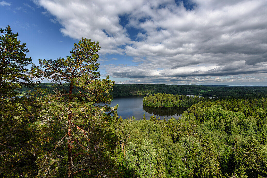 Blick vom Aussichtsturm im Park Aulanko-Naturpark, Hämeenlinna, Finnland