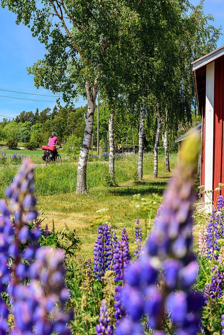 Auf der Insel Inioe,Schärenringweg: Askainen–Kustavi–Inioe–Houtskaer–Korpo–Nagu–Pargas, Finnland