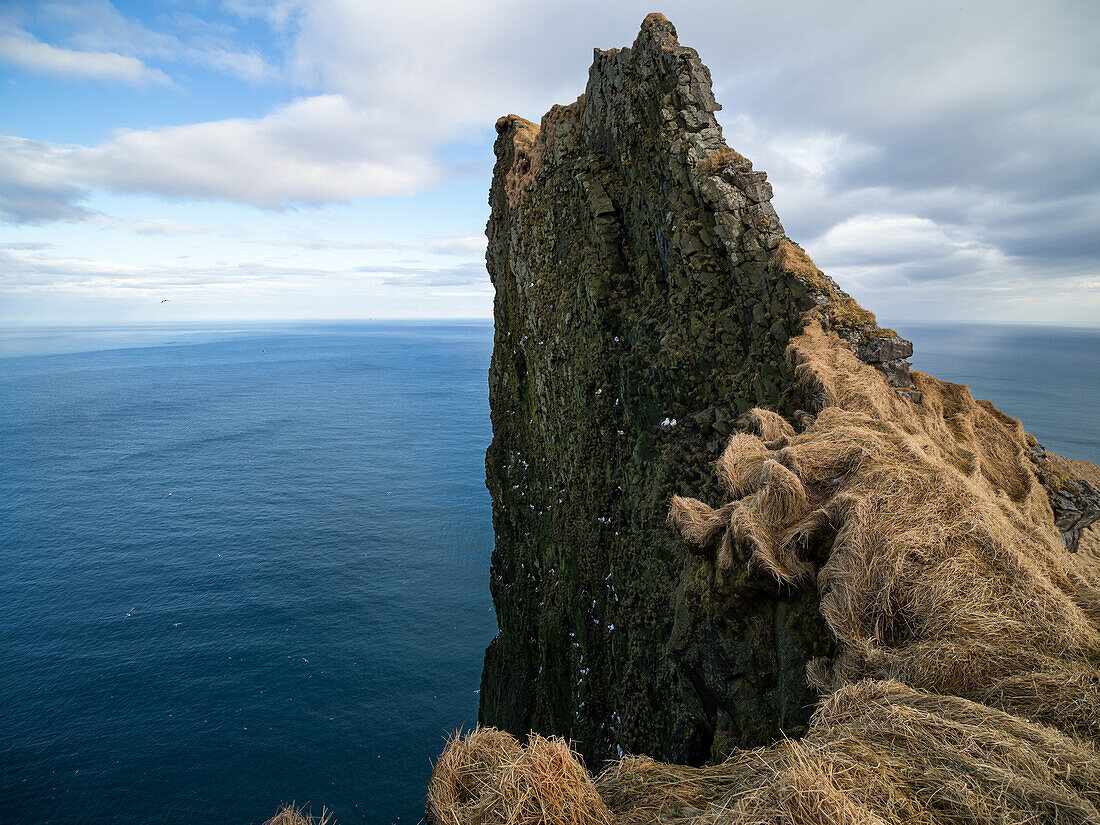 Klippen an der Nordküste, Hornstrandir Naturreservat, Hornvik Bucht, Island, Europa