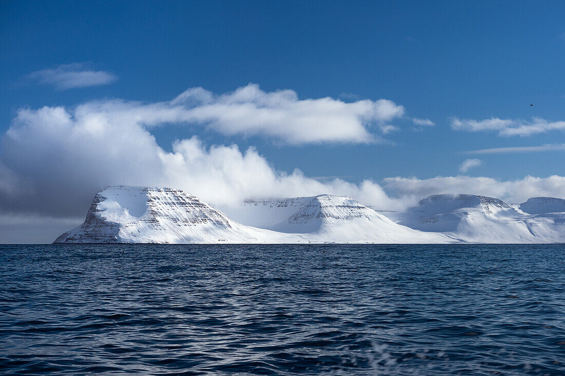 Fljotavik, Westfjords coast, Iceland, Europe