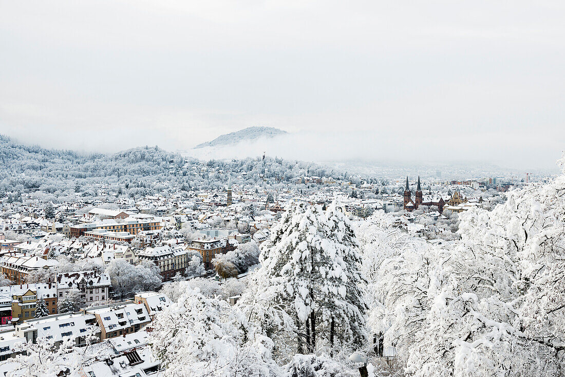 Winter mood with snow, Freiburg im Breisgau, Black Forest, Baden-Württemberg, Germany