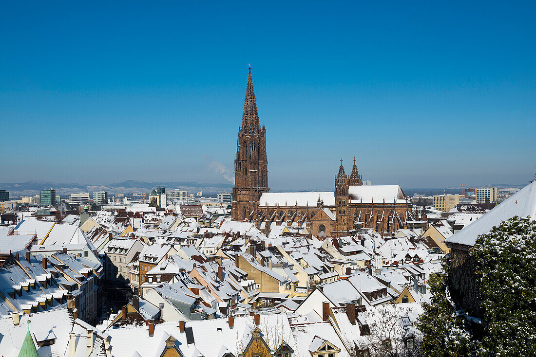 Winterstimmung mit Schnee, Freiburger Münster, Freiburg im Breisgau, Schwarzwald, Baden-Württemberg, Deutschland