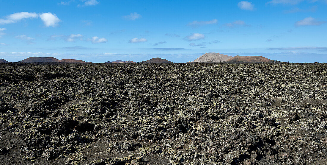 The lava floor of Lanzarote, Canary Islands, Europe